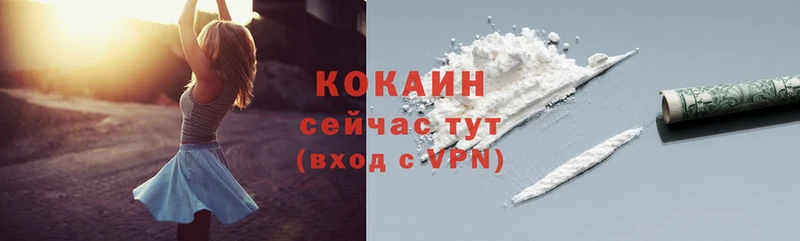 кракен tor  Знаменск  Cocaine FishScale 