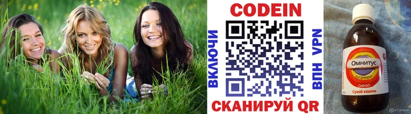 гидра рабочий сайт  Знаменск  Кодеиновый сироп Lean Purple Drank 