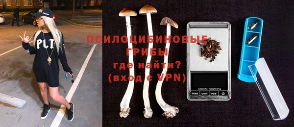 PSILOCYBIN Дмитров