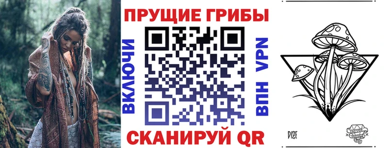 Псилоцибиновые грибы MAGIC MUSHROOMS  как найти   Знаменск 