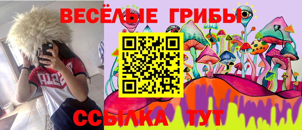 Знаменск  Псилоцибиновые грибы Psilocybe  Вход с VPN 