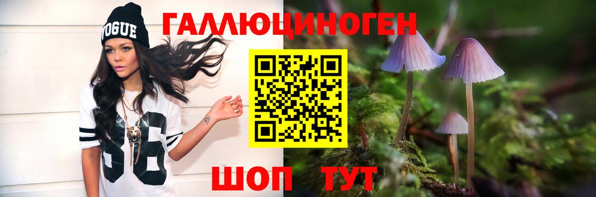 Галлюциногенные грибы MAGIC MUSHROOMS Знаменск